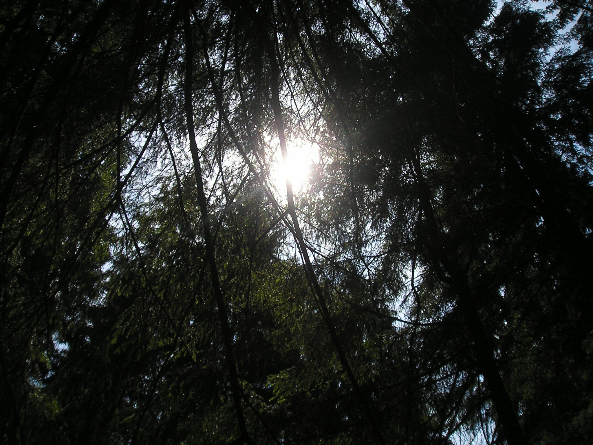 P7140013.JPG